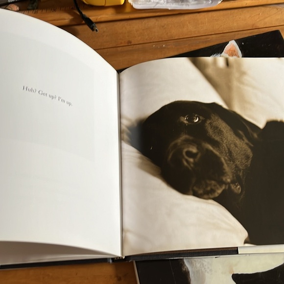 True portraits of dogs book - Picture 6 of 7
